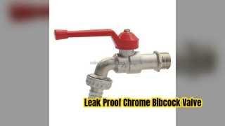 Valve Bibcock chromée robuste pour le contrôle de l'eau de cuisine